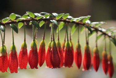 中山南头5私人快速借钱网，轻松解决资金难题