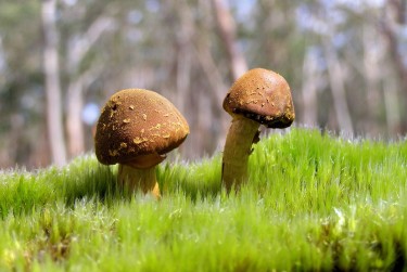 中山南头5私人老板放款：轻松融资的秘密通道